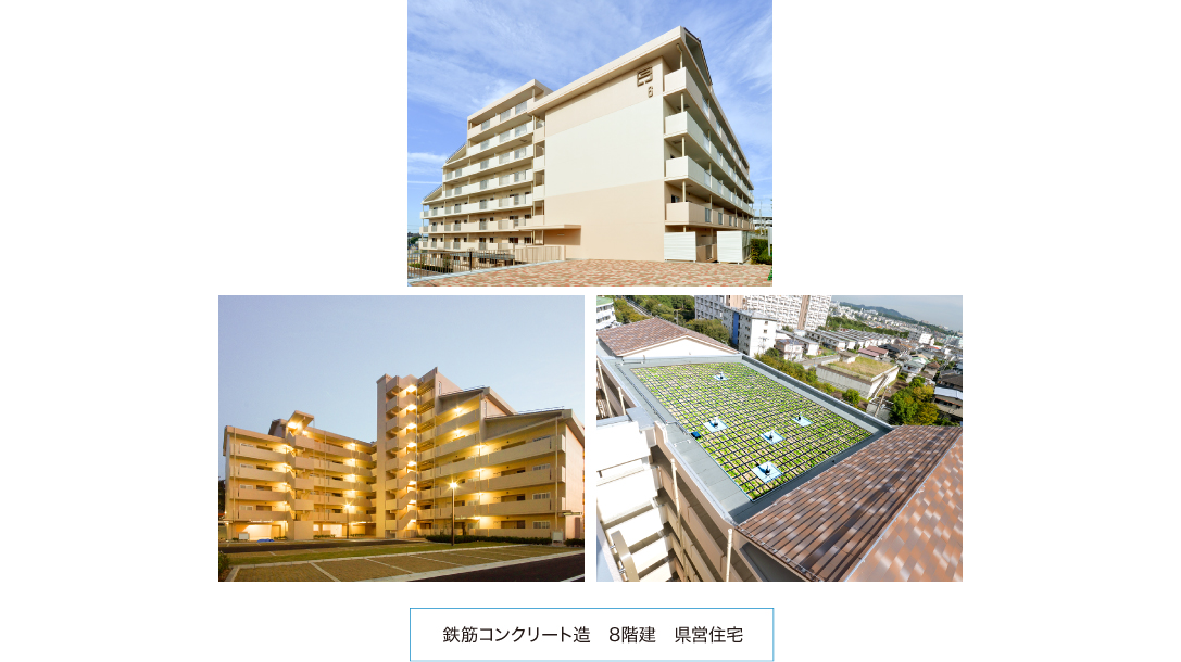 鉄筋コンクリート造　8階建　県営住宅